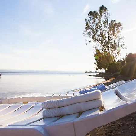 Villa Evia Island Seafront Villa *